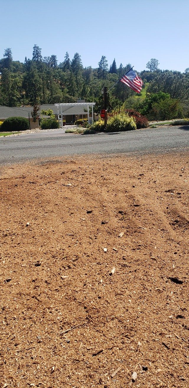 Leveled chip and mulch pad after a stump was ground out and raked