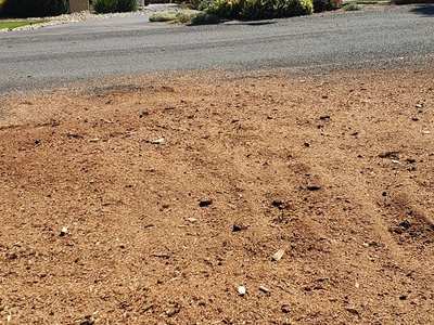Leveled chip and mulch pad after a stump was ground out and raked